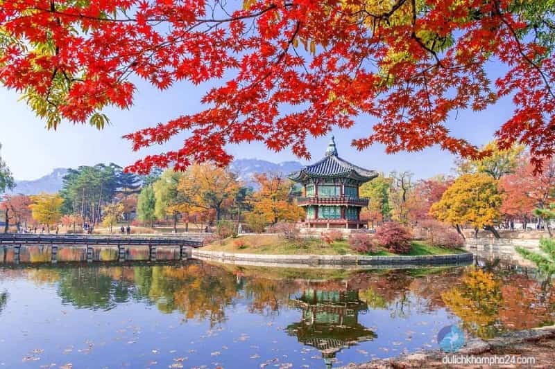 Kinh nghiệm du lịch Hàn Quốc tự túc Kinh nghiệm du lịch Hàn Quốc tự túc