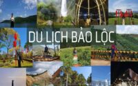 Bảo Lộc có gì chơi? Điểm đến tuyệt vời cho kỳ nghỉ cuối tuần