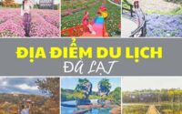 Đà Lạt có gì chơi? Những địa điểm vui chơi, tham quan không thể bỏ qua