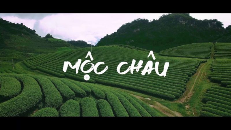 Kinh nghiệm du lịch Mộc Châu tự túc từ A-Z cho bạn