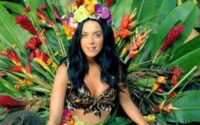 Katy Perry - Tiểu sử nghệ sĩ nổi tiếng hàng đầu của làng nhạc