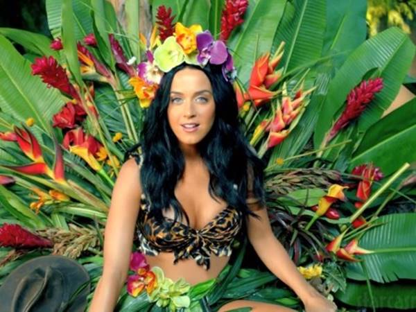 Katy Perry - Tiểu sử nghệ sĩ nổi tiếng hàng đầu của làng nhạc