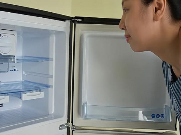 Tủ lạnh lâu không dùng có mùi hôi do đâu