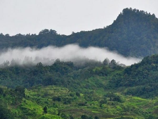 Đỉnh núi Ngọc Linh