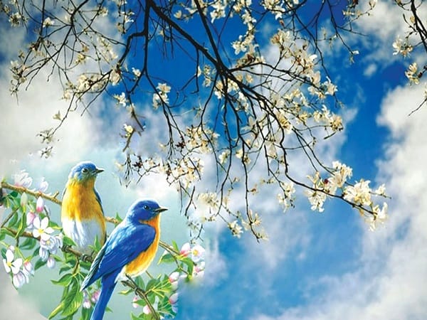 Mùa xuân - Khúc giao hưởng của sự sống bừng tỉnh - Khám phá các mùa trong năm