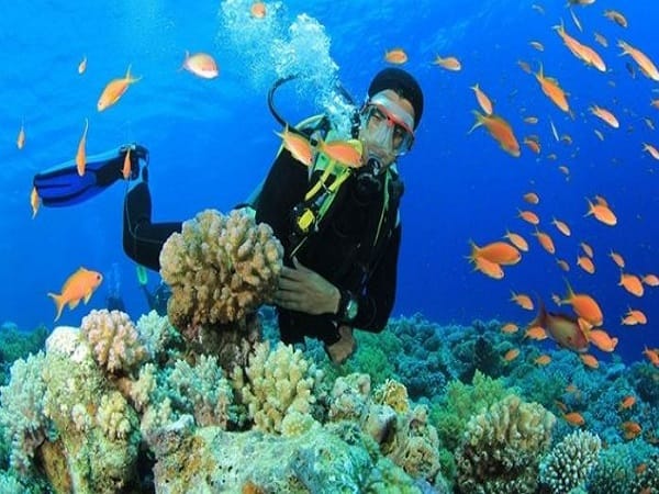 Lặn biển là cách thức khám phá đại dương