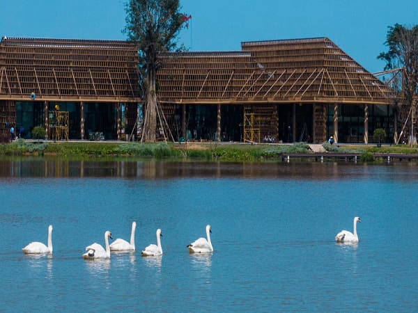 Công viên Hồ Thiên Nga - Trái tim xanh của Ecopark