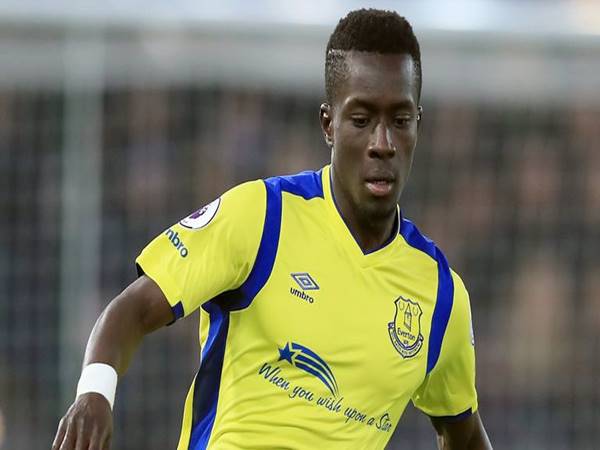 Sự nghiệp bóng đá của Gana Gueye