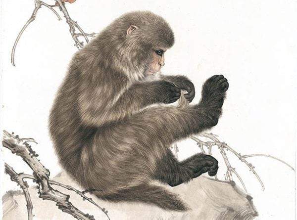 Gợi ý số may mắn tuổi Thân 27/11/2025 mang tài lộc gì