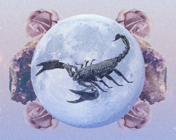 Giải mã ý số phát tài cung bọ cạp 13/12/2025 có gì đặc biệt?